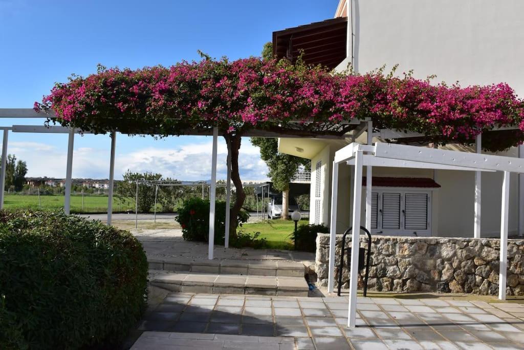 Villa Aqua Boghaz Exteriér fotografie